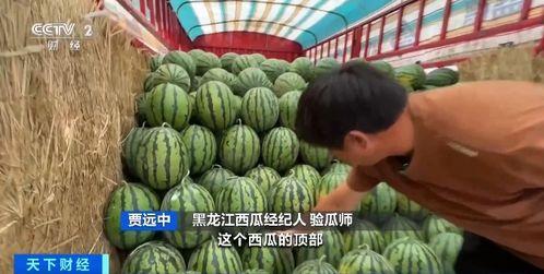 演播室吃瓜,揭秘娱乐圈幕后故事