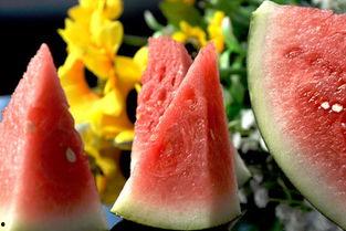 经期可以吃捎瓜,捎瓜助力女性健康调理