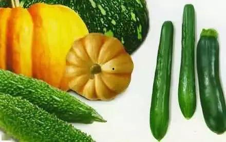 吃瓜社探,吃瓜社探秘幕后真相