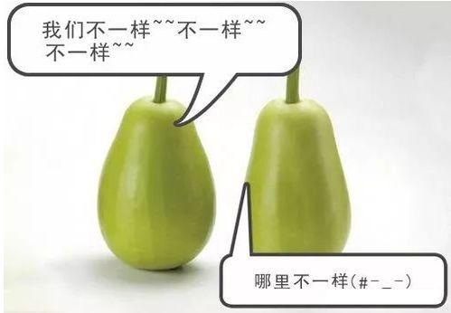 晚安战队吃瓜,揭秘娱乐圈的吃瓜盛宴