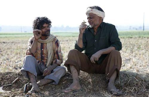 国外自杀事件吃瓜,背后的真相与反思