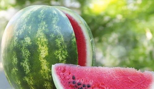 单纯喜欢吃瓜,探寻瓜类美食的无限魅力