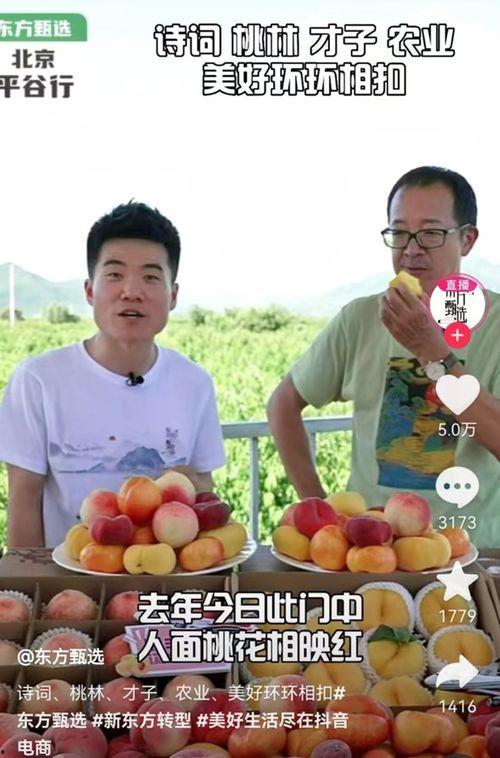 东方甄选继续吃瓜,带你领略直播带货背后的故事