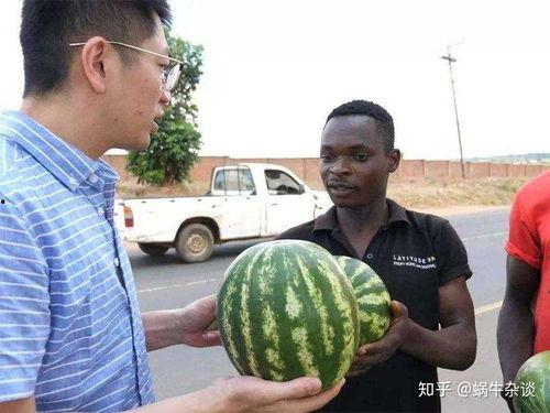 国外人吃瓜吗,揭秘不同文化中的围观现象