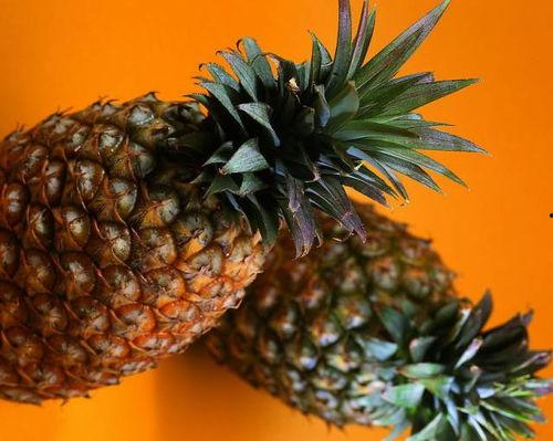 瓜哥吃瓜菠萝手机,菠萝手机新潮流