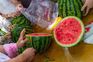 永安ktv吃瓜视频,揭秘娱乐场所幕后真相