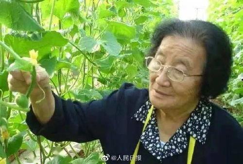 青州人自己吃瓜事件视频,一场引发热议的民间美食狂欢