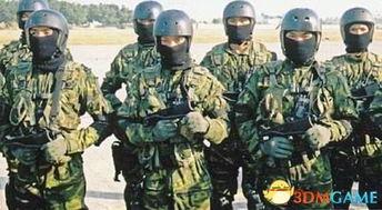 台湾部队吃瓜视频大全播放,笑料百出，欢乐无限