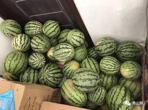 芝川一手吃瓜视频,揭秘芝川热门视频背后的真相