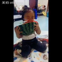 吃瓜宝宝视频全集,揭秘视频全集中的欢乐与泪水