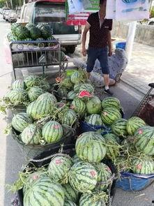 航拍韩城吃瓜事件视频,一场引人关注的街头冲突