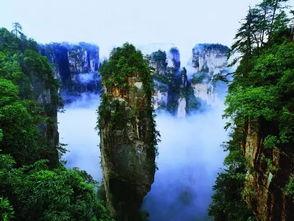 张家界五人吃瓜视频播放,一场意外的网络狂欢