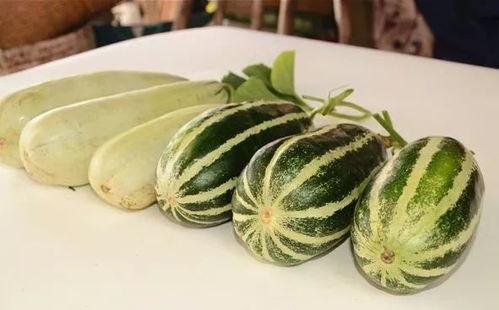 网红吃瓜视频免费看,免费观看的娱乐狂欢